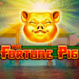 Fortune pig logo