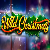 Wild Christmas logo