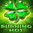 Burning Hot logo