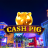 Cash Pig logo