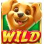 Wild img