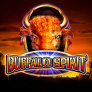 Buffalo Spirit logo