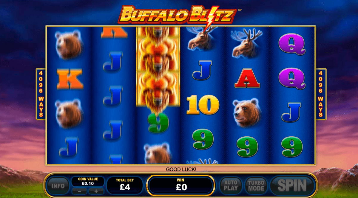 buffalo blitz playtech pacanele 