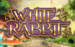 logo white rabbit big time gaming 