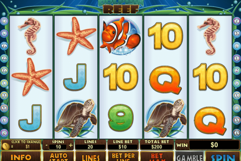 dolphin reef playtech pacanele