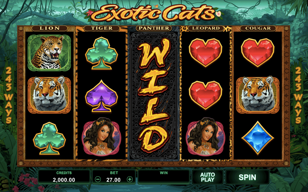 exotic cats microgaming pacanele