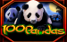 logo 100 pandas igt 