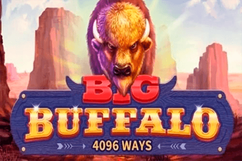 logo big buffalo skywind group 