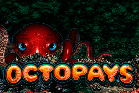 logo octopays microgaming
