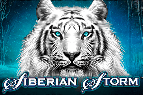 logo siberian storm igt 