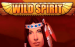 logo wild spirit playtech 