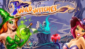 logo wild witches netent 