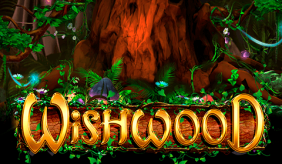 logo wishwood igt 