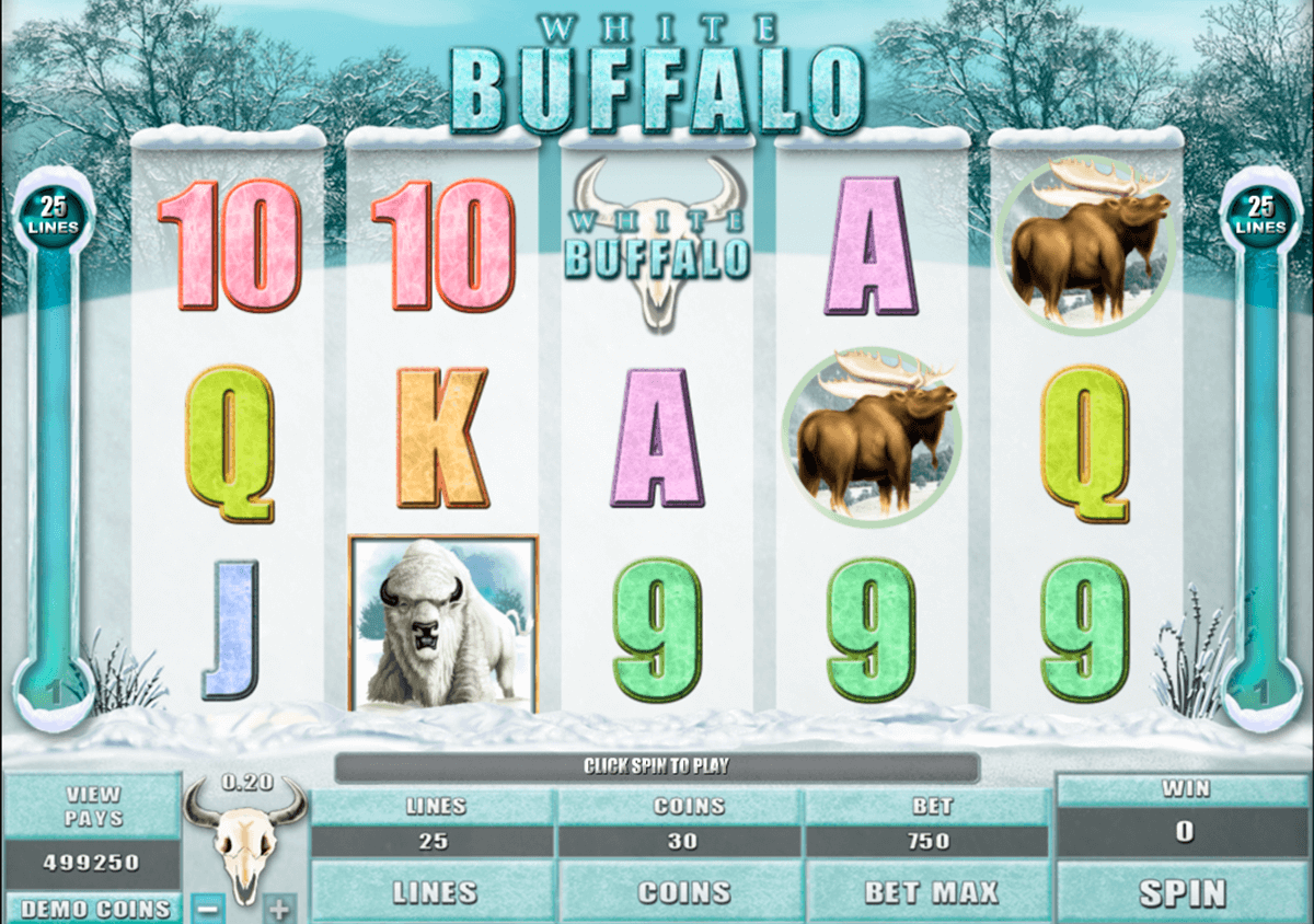 white buffalo microgaming pacanele 