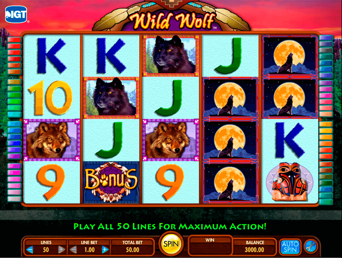wild wolf igt pacanele 