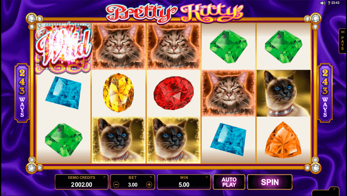 win sum dim sum microgaming pacanele 